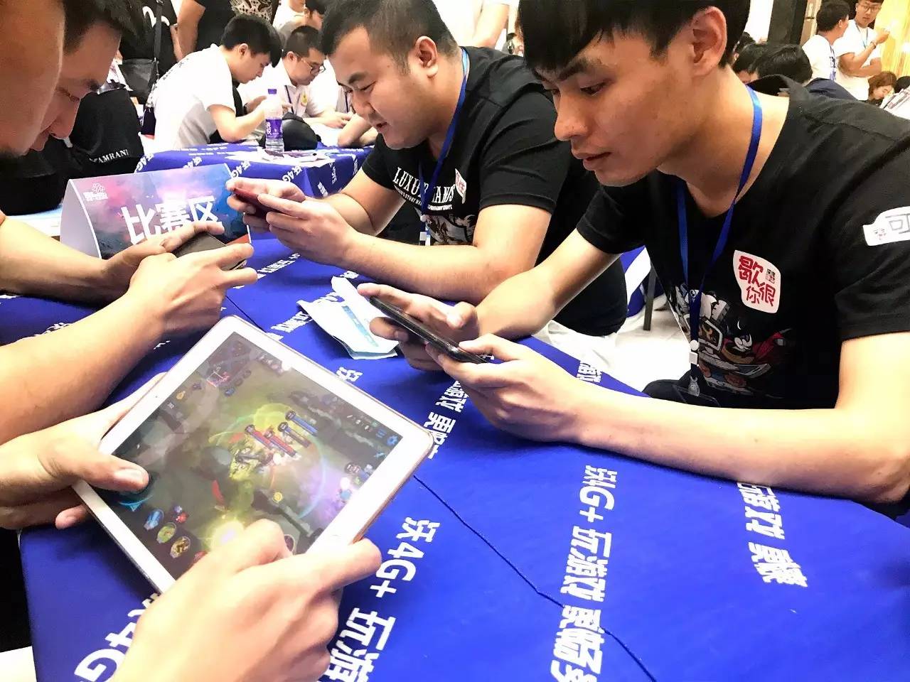 却仅换来 却仅换来